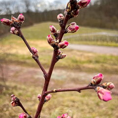 23-03-12 14-39-44 4795